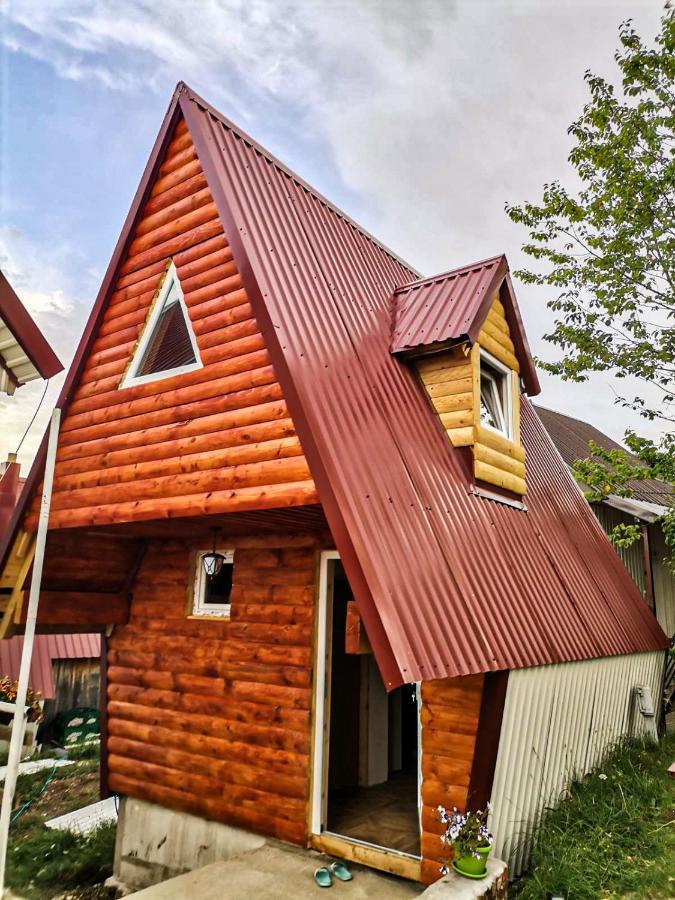 Holiday Vikendica Žabljak Exteriör bild